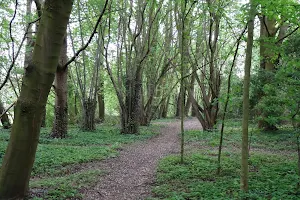 Sint-Baafskouter park image