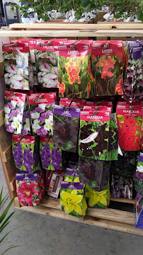 Walmart Garden Center - Photo 9 - Car repair in Rock Hill, SC, Rock Hill