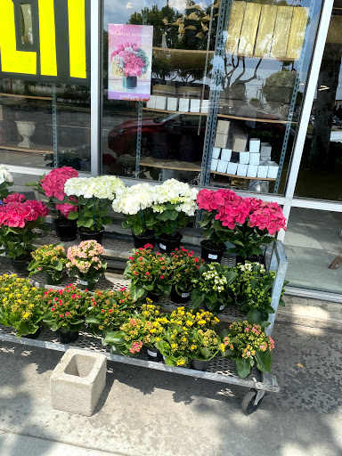 Florist «Sunfresh Flower Mart», reviews and photos, 14507 Hawthorne Blvd, Lawndale, CA 90260, USA