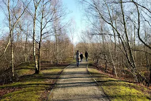 Beacon Wood Country Park image