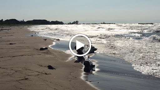 Hiking Area «Cowles Bog Trail», reviews and photos, 1618 N Mineral Springs Rd, Dune Acres, IN 46304, USA