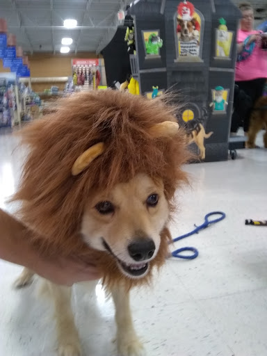 Pet Supply Store «PetSmart», reviews and photos, 8105 Moores Ln Ste 1300, Brentwood, TN 37027, USA