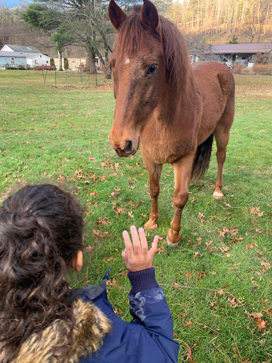 Resort «Smoke Hole Caverns», reviews and photos, 8290 N Fork Hwy, Cabins, WV 26855, USA