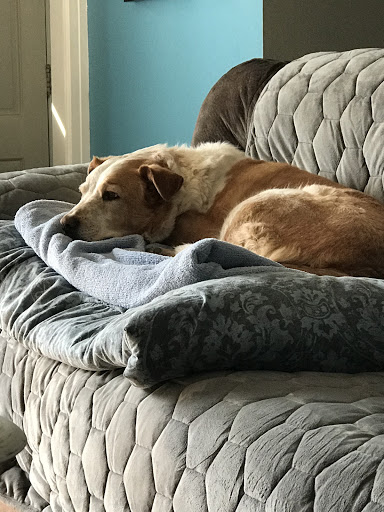 Furniture Store «Ashley HomeStore», reviews and photos, 1741 W Edgar Rd, Linden, NJ 07036, USA