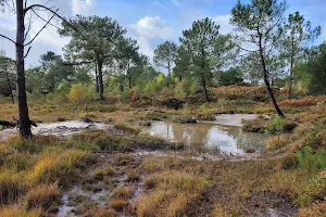 Upton Heath image