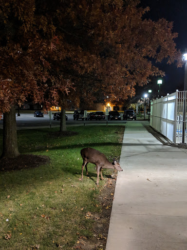 Recreation Center «Brunswick Recreation Center», reviews and photos, 3637 Center Rd, Brunswick, OH 44212, USA