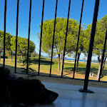 Photo n°3 de l'avis de Jasmin.u fait le 13/09/2023 à 08:55 sur le  Hapimag Resort Scerne di Pineto à Scerne