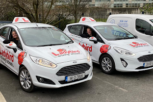 Ladybird Driving School Driving Lessons Naas