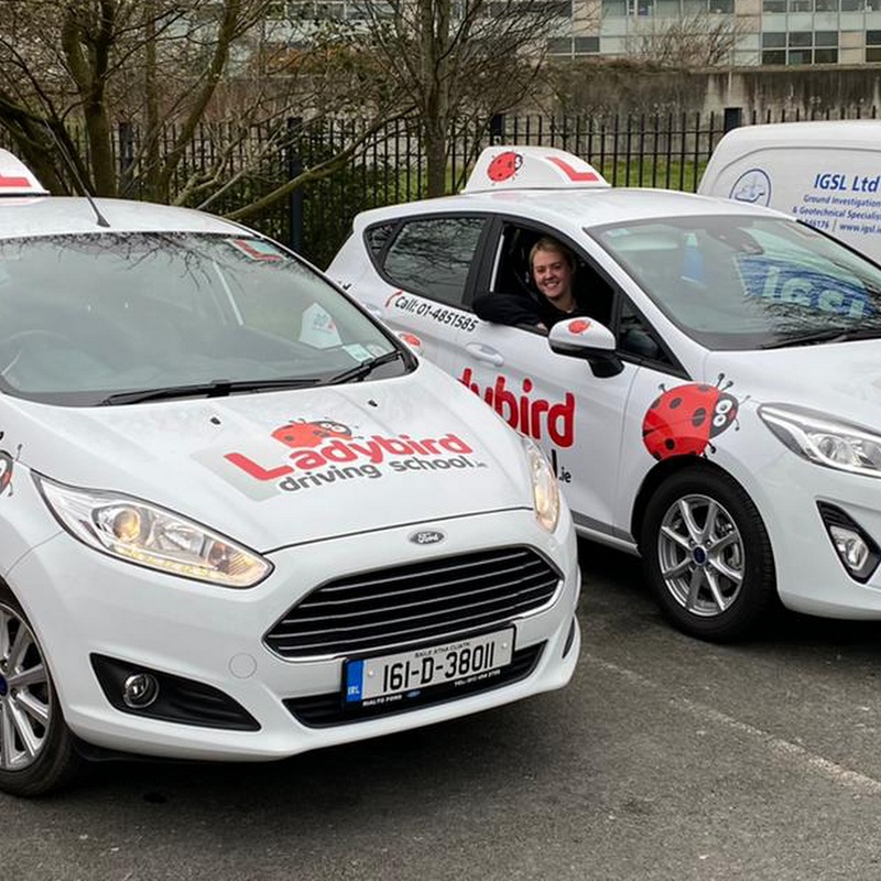 Ladybird Driving School Driving Lessons Naas