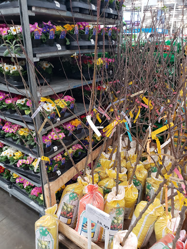 Warehouse store «Costco Wholesale», reviews and photos, 1255 NE 48th Ave, Hillsboro, OR 97124, USA