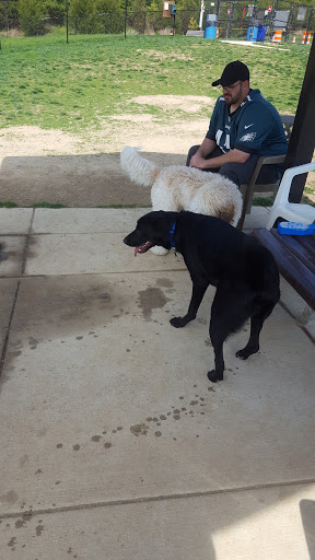 Dog Park «Worthington Off Leash Dog Park», reviews and photos, 8170 Hillsborough Rd, Ellicott City, MD 21043, USA