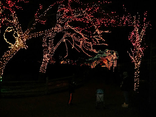 Park «Victoria Park», reviews and photos, 1100 Kingsdale Rd, Hoffman Estates, IL 60169, USA