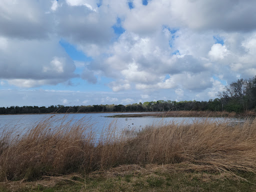 Park «Lake Rogers Park», reviews and photos, 9010 N Mobley Rd, Odessa, FL 33556, USA