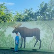 Life-Sized Moose Mural