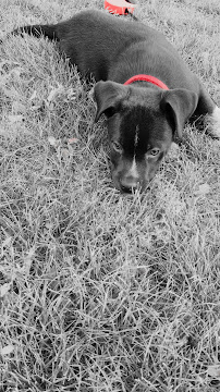 Monument Photography - Photo 7 - Car repair in Grand Junction, CO, Grand Junction