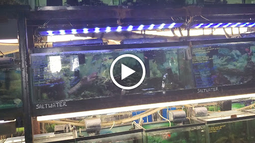 Pet Store «Pet Connection», reviews and photos, 1441 W State St, Alliance, OH 44601, USA