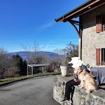 Photo n° 3 de l'avis de Myrthe. fait le 20/02/2020 à 20:31 pour Le Bonheur dans le Pré à Lucinges