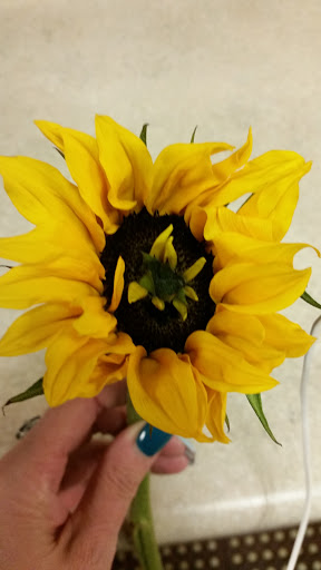 Florist «Bloomingdale Florist», reviews and photos, 827 E Bloomingdale Ave, Brandon, FL 33511, USA