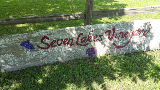 Winery «Seven Lakes Vineyard», reviews and photos, 1111 Tinsman Rd, Fenton, MI 48430, USA