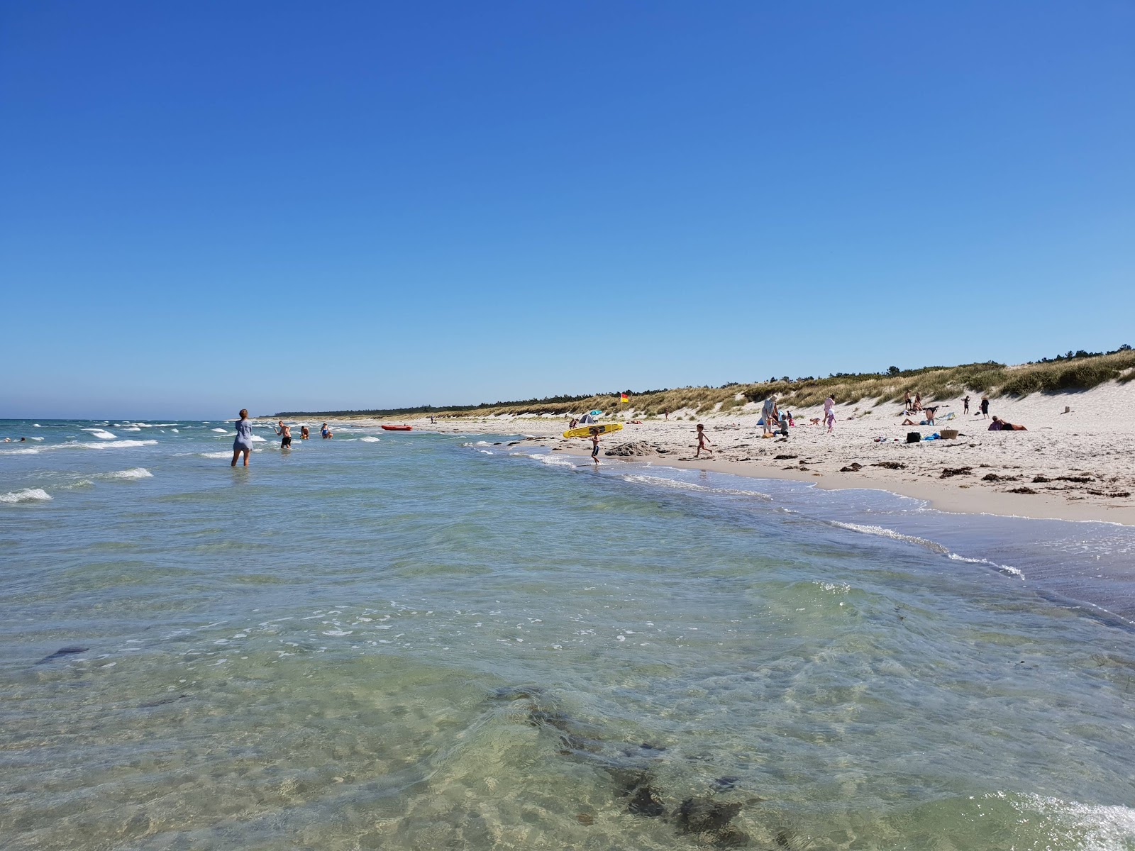 Foto av Rorvig Beach med turkos rent vatten yta