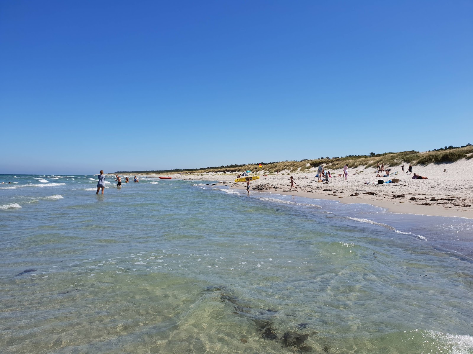 Foto av Rorvig Beach med lång rak strand