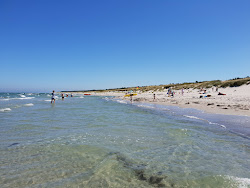 Foto av Rorvig Beach med lång rak strand