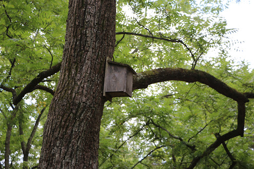 Park «Ellanor C. Lawrence Park», reviews and photos, 5040 Walney Rd, Chantilly, VA 20151, USA