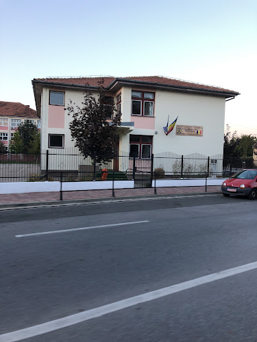 Strada Mihai Viteazul 9, Sânnicolau Mare 305600, România