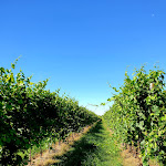 Photo n°4 de l'avis de Gigi.o fait le 19/07/2020 à 17:08 sur le  Hotel B&B - La Casa dei Racconti à Ceggia