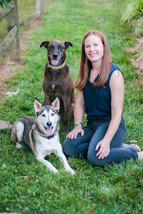 emBark - Photo 5 - Car repair in , Gastonia