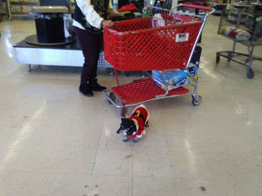 Discount Store «Big Lots», reviews and photos, 3959 N Oracle Rd, Tucson, AZ 85705, USA