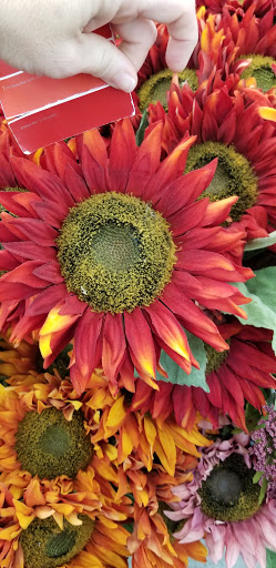 Craft Store «Michaels», reviews and photos, 365 Boardman-Canfield Rd, Boardman, OH 44512, USA