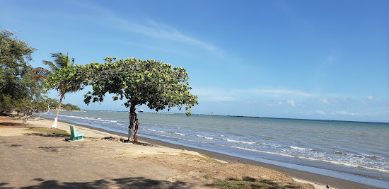 Carat Shed beach