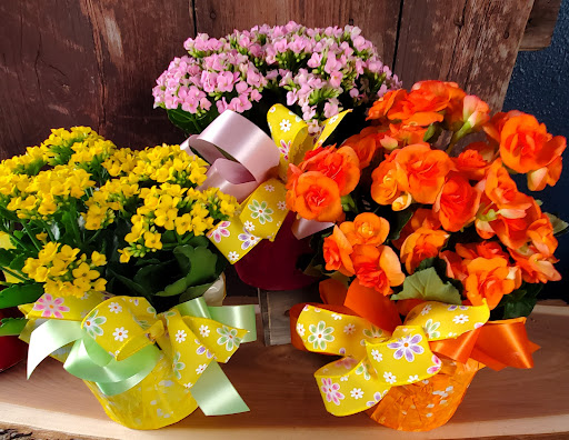 Florist «Sunshine Floral», reviews and photos, 1903 George St, La Crosse, WI 54603, USA