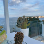 Photo n°2 de l'avis de Elena.i fait le 11/06/2023 à 21:03 sur le  Fico Fico bollicine e crudité à Fossacesia