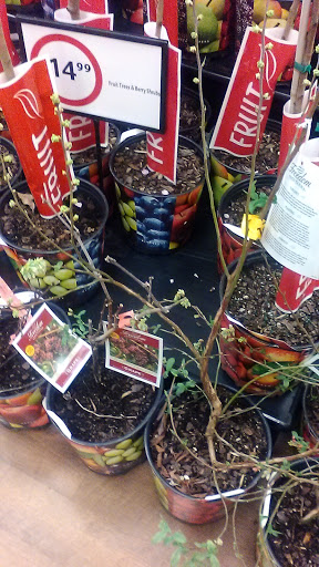 Grocery Store «BI-LO», reviews and photos, 41 Forest Gate Dr, Pisgah Forest, NC 28768, USA