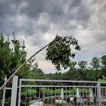 Photo n°5 de l'avis de Giulia.e fait le 17/07/2021 à 20:47 sur le  Osmica Rebula - Slivno/Slivia à Slivia