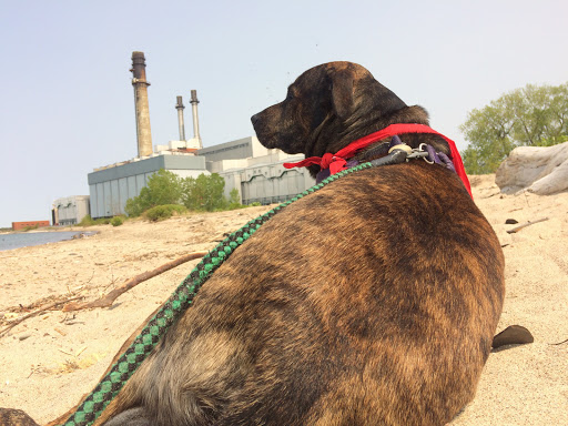 Historical Landmark «Dunkirk Lighthouse», reviews and photos, 1 Point Dr N, Dunkirk, NY 14048, USA