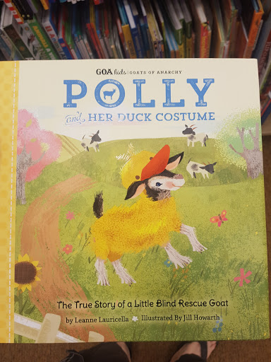 Book Store «Barnes & Noble», reviews and photos, 1812 Sam Rittenberg Blvd, Charleston, SC 29407, USA