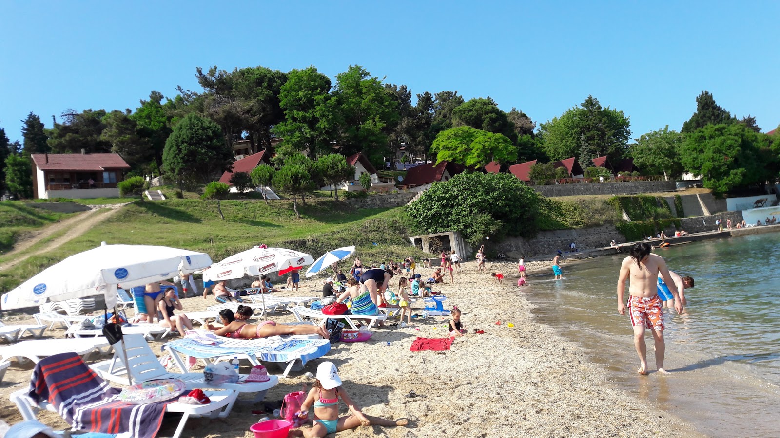 Belediye Plaji photo #6