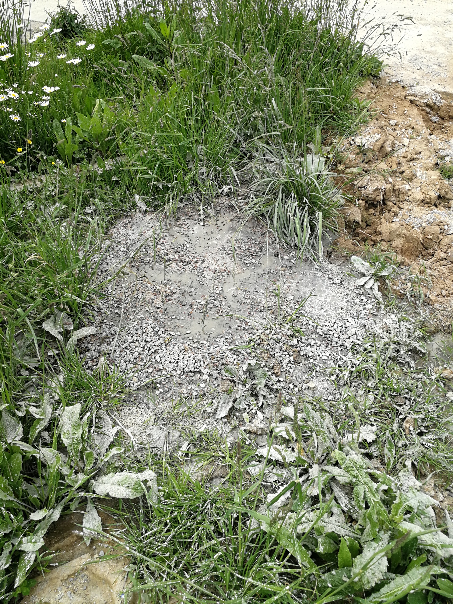 Photo n° 2 de l'avis de Tanguy.o fait le 29/05/2021 à 15:00