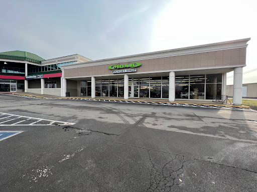 Bicycle Store «Murfreesboro Outdoor & Bicycle», reviews and photos, 710 Memorial Blvd #100, Murfreesboro, TN 37129, USA