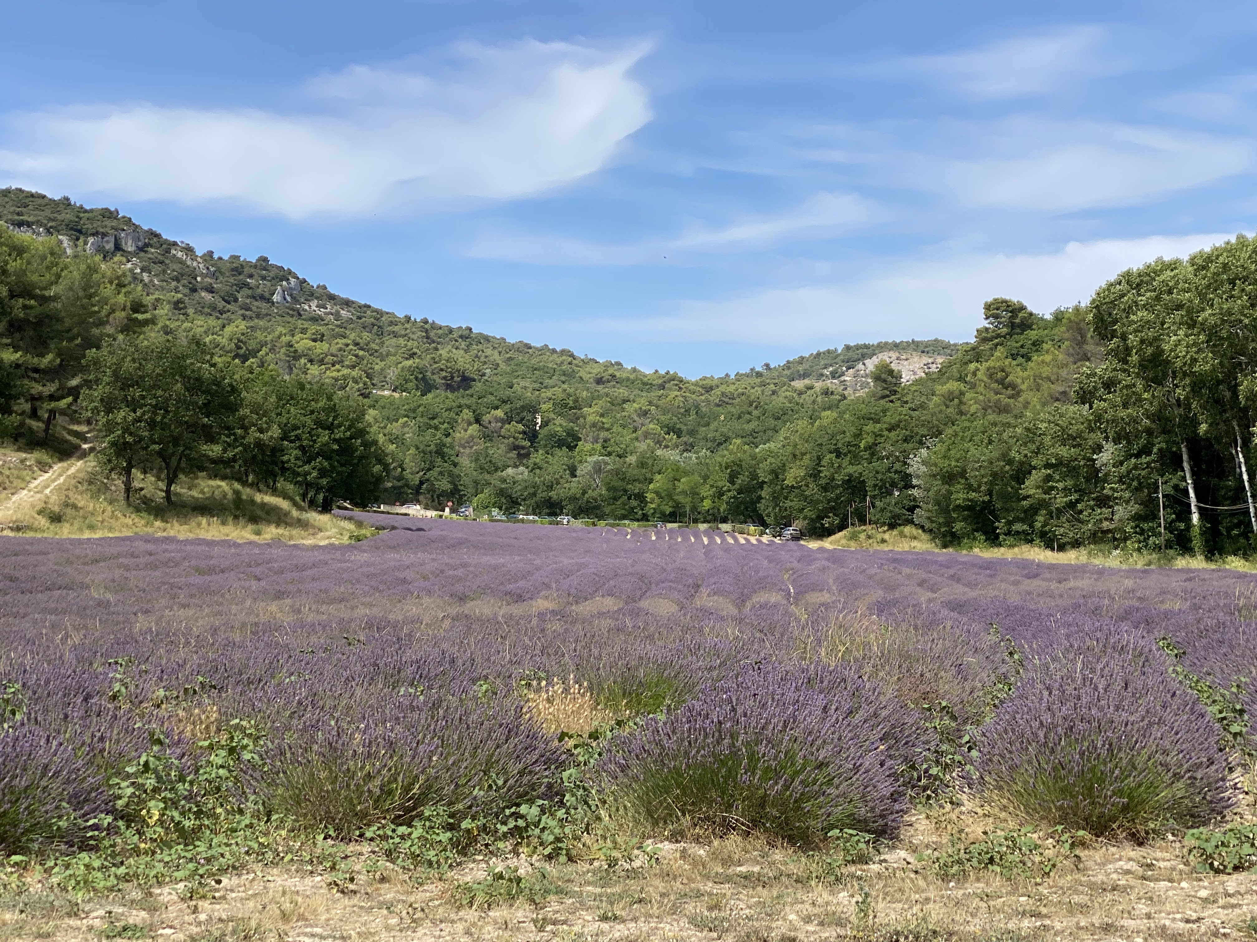 Photo n° 6 de l'avis de Jérémy.e fait le 25/07/2021 à 21:49