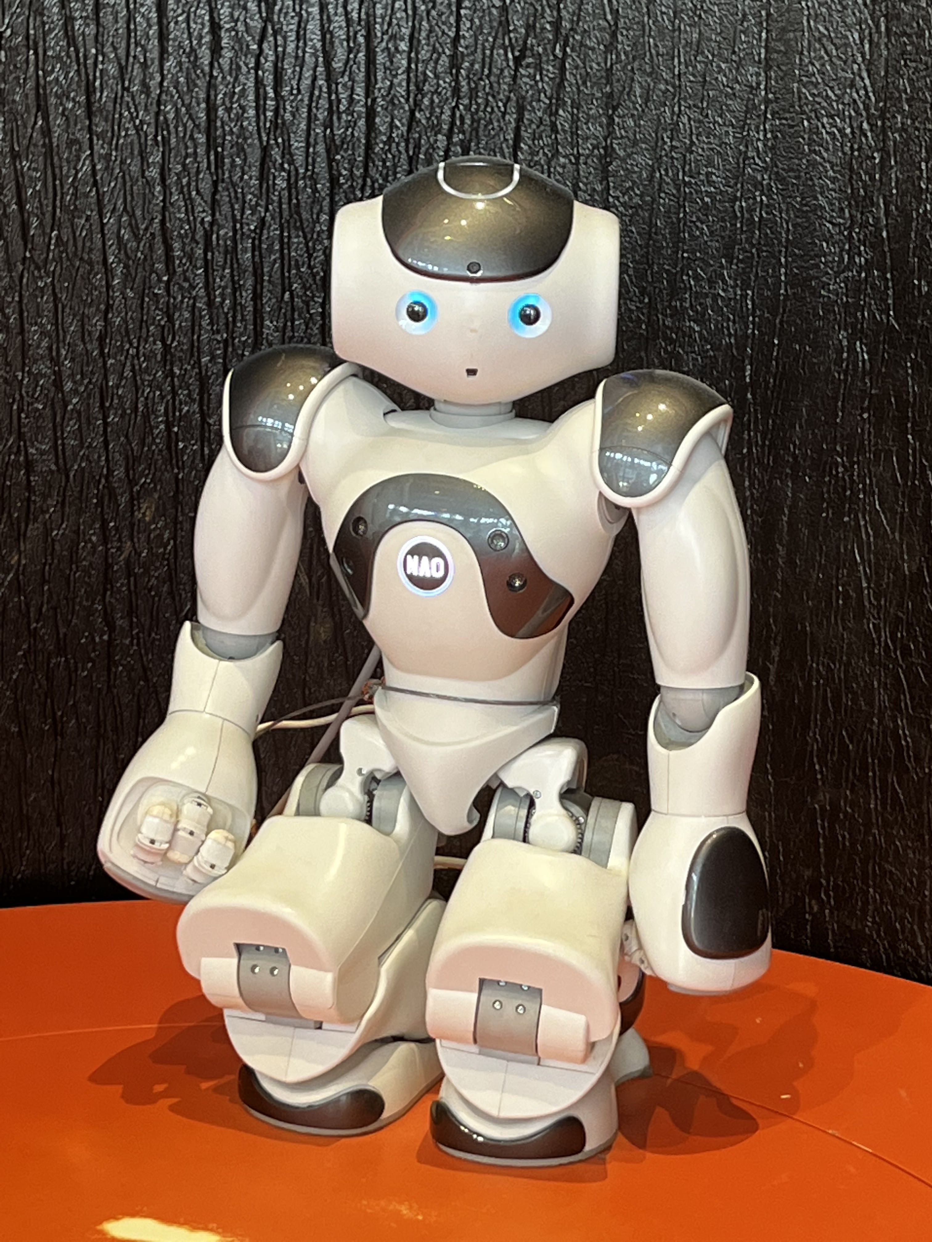 Photo n° 8 de l'avis de Dlm.� fait le 31/07/2022 à 14:16