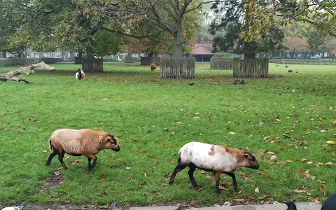 Hortensiapark - Dierenparken Helmond image