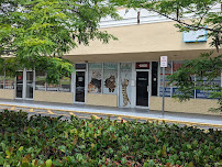 KittensUp for Sale - Photo 2 - Car repair in Pembroke Pines, FL, Hollywood