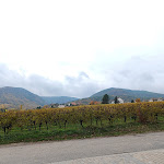 Photo n°5 de l'avis de Walter.a fait le 05/11/2021 à 04:51 sur le  Das Prinzregent à Edenkoben