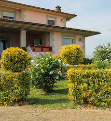 Casa Di Riposo "Villa Pina" Canino