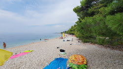 Dracevac Beach'in fotoğrafı dağlarla çevrili