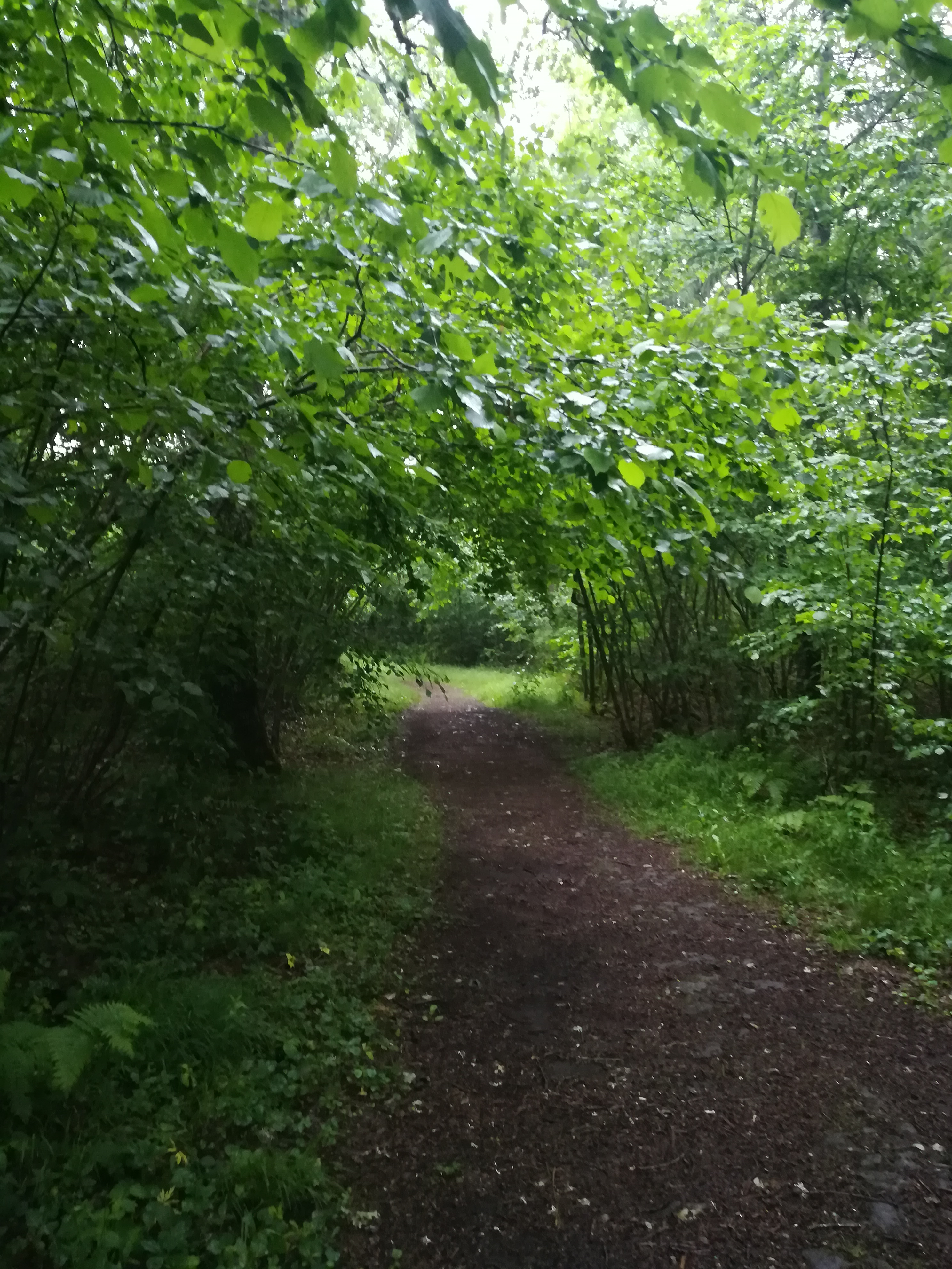 Photo n° 9 de l'avis de Nathalie.e fait le 17/06/2019 à 19:40